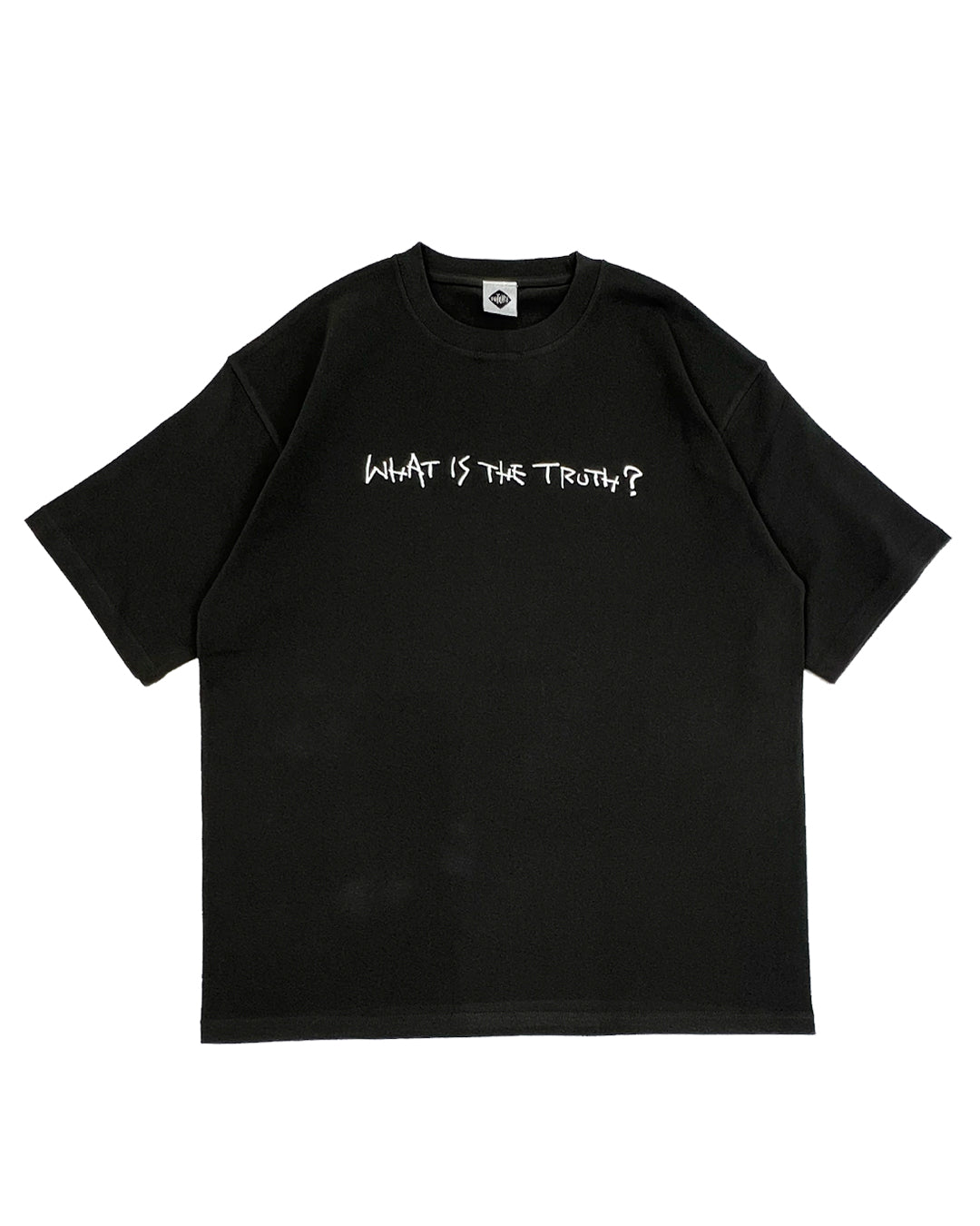 OVER SIZE TEE / WHAT IS THE TRUTH?